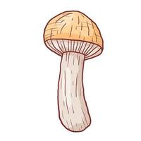 Vector isolated autumn doodle illustration of forest edible porcini mushroom in outline style.