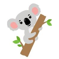 Cute baby koala on tree. Australian animal . Vector flat illustration isolated on white background.