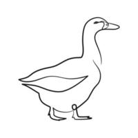 Duck continuous line art drawing vector