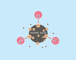 illustration of humic acid absorbing positive ions. Cation and anion exchange. Reduction of Al, Fe toxicity in the soil vector