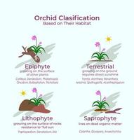 classification of orchid flower collection. Catteleya, Mokara, Phalaenopsis, Dendrobium and Vanda vector