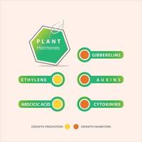 Tipos de hormonas vegetales en agricultura y biología. promotores del crecimiento e inhibidores del crecimiento. auxinas, giberelinas, citoquininas, etileno, ácido abscícico vector