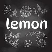 Vector hand drawn lemon set. Sliced pieces, half, leaf, peel, seed and branch sketch. Lemon Lettering. White sketch isolated on black chalkboard. Icons and elements for print, label.