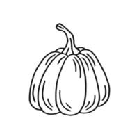 Pumpkin. Hand drawn vector illustration in doodle style. Black and white image of vegetables.