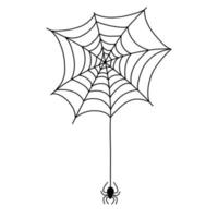 araña en web aislado sobre fondo blanco. ilustración vectorial vector