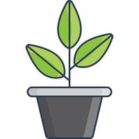 plant in a pot icon vector