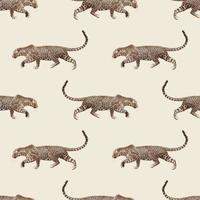 Leopard vector pattern isolated on Off White background. Design for use backdrop wrapping paper all over textile fabric print and others