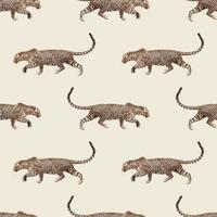 patrón de vector de leopardo aislado sobre fondo blanco. diseño para usar papel de envolver de fondo en toda la impresión de tela textil y otros