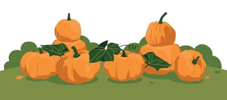 Autumn fair. Pumpkins on the grass. Vector image.