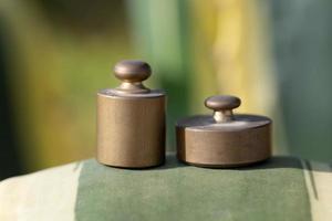 Two small metal weights for scales lie on a green agave against a green background photo