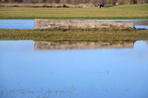 In spring, a tree trunk lies on a path on a flooded meadow. In the background meadow landscape and a group of people photo