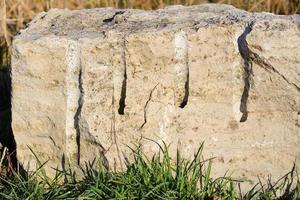 Background with a small monolith or light stone, in front of which green grass grows, in nature photo