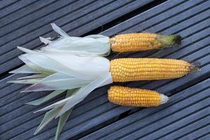 Three ripe corncobs lie side by side on a wooden background. The corn cobs are different sizes. photo