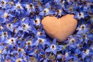 Cerca de un corazón de arcilla acostado sobre un lecho de flores de borraja azul foto