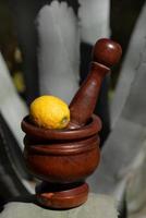 A wooden mortar with a pestle and a lemon on the leaves of an agave in portrait format photo