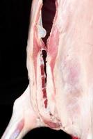 Detail of a lamb slaughtered in the traditional way, skinned and hanging in front of a dark background. The animal was divided along the spine photo