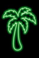 Green neon outline of palm tree on a black background. Rest, travel, vacation. Icon illustration vector