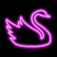 Pink neon swan contour on a black background. Floating Bird vector