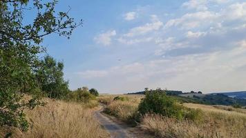 hoog hoek visie van koeien begrazing Aan veld- tegen lucht. prachtig hoog hoek antenne visie van dier boerderij Bij Brits agrarisch veld- in de buurt Londen Engeland Super goed Brittannië van uk video