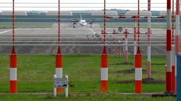 avion à turbopropulseur atterrissant à dusseldorf. Lièvre européen Lepus europaeus près de la piste. video