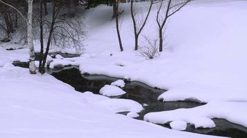 Winterlandschaft. Fluss, Birke und Schnee. video