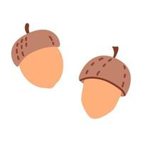 bellotas en estilo de dibujos animados. nueces de otoño dibujadas a mano. arte vectorial aislado sobre fondo blanco. vector