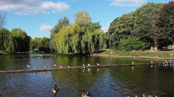 Lake View and Water Birds at Local Public Park of England Great Britain UK video