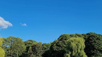 Vista sul lago e uccelli acquatici nel parco pubblico locale dell'Inghilterra Gran Bretagna Regno Unito video