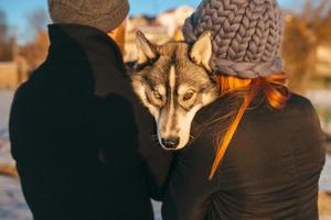 Couple with dog on the snow photo