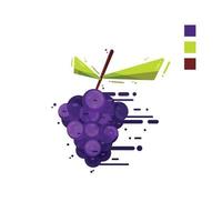 blackberry fruit vector illustration food nature icon isolated