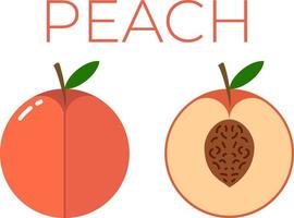 Peach and sliced half of Peach with fruit name above. Vitamin citrus fruit. Flat isolated vector on white background