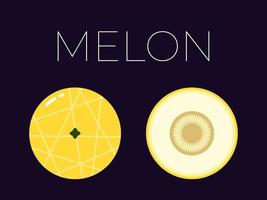 Melon and sliced half of Melon with fruit name above. Vitamin citrus fruit. Flat isolated vector on dark background