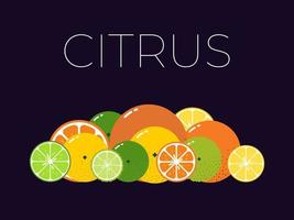 Citrus Fruits pack and sliced half of Citrus. Vitamin fresh fruits kit. Flat isolated vector on dark background