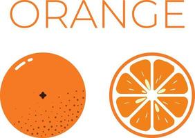 naranja y media naranja en rodajas con el nombre de la fruta arriba. cítricos vitamínicos. vector plano aislado sobre fondo blanco