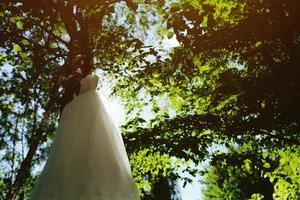 Wedding dress hanging on a tree photo