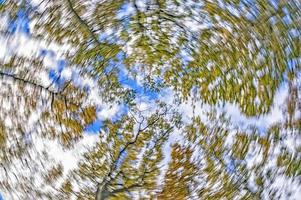 Abstract view of autumnal forest photo