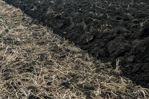 The plowed and unploughed the soil photo