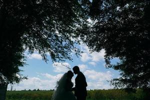 hermosa pareja de novios en la naturaleza foto