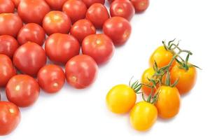 Yellow and red tomatoes photo