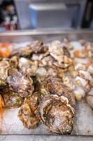 Fresh closed oysters on counter with ice photo