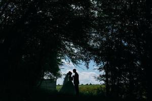 Beautiful wedding couple on nature photo