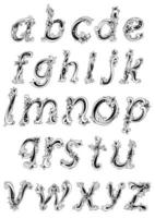 alfabeto con letras minúsculas florales vector