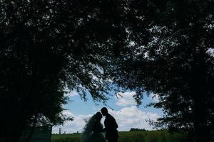 Beautiful wedding couple on nature photo