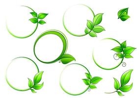 Frames set with geen leaves vector