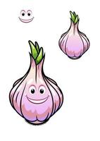 Sprouting fresh garlic bulb vector