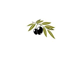 Black olives branch with leaf vector
