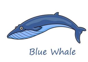 ballena azul del océano de dibujos animados vector