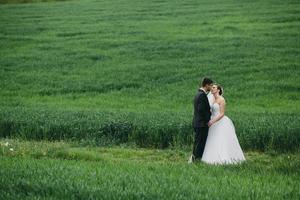 Beautiful wedding couple on nature photo