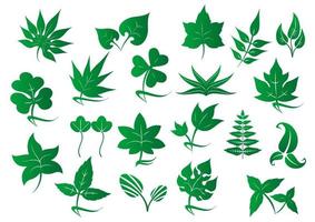 conjunto de plantas y hojas verdes vector