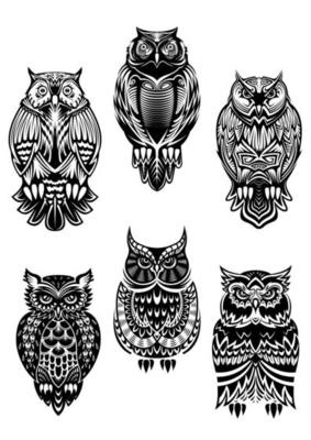 Tribal owl birds set